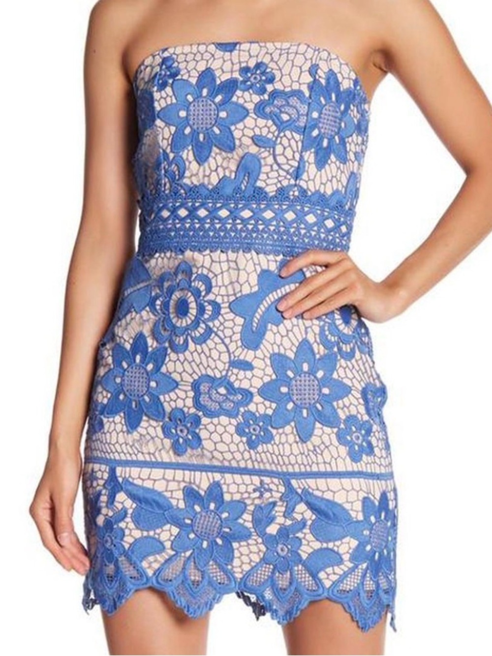 Endless Rose Blue Lace Appliqué Dress with Nude Lining